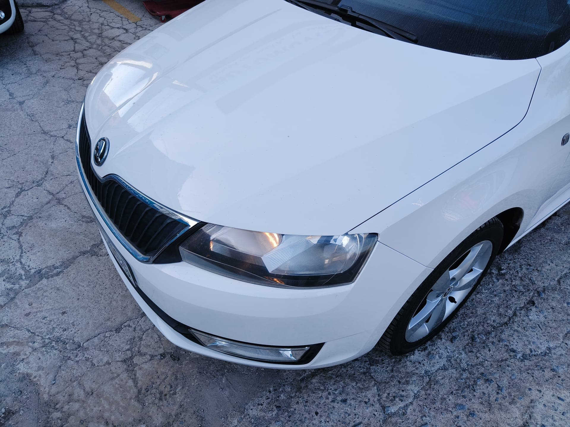 Skoda Rapid